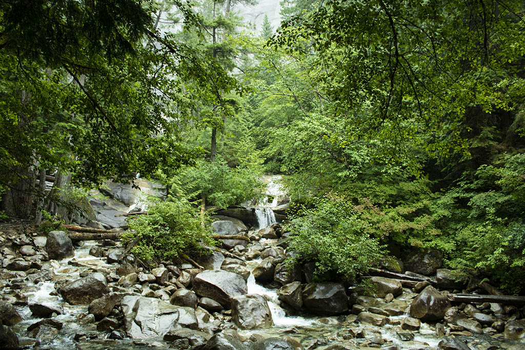 shannon falls bottom email.jpg