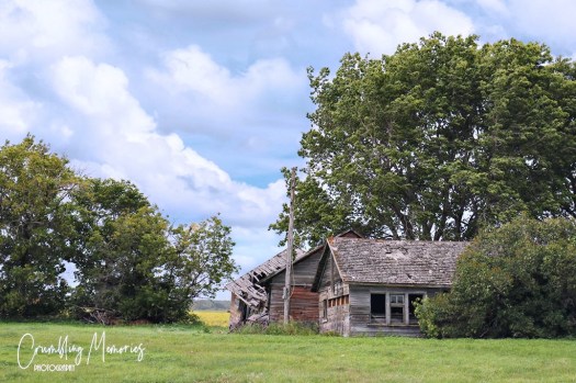 3FCB7659-6C59-455C-B596-0D676C13BD4D