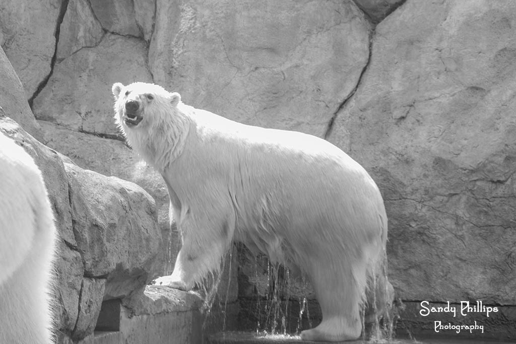 IMG_1052.JPG2 email.jpg