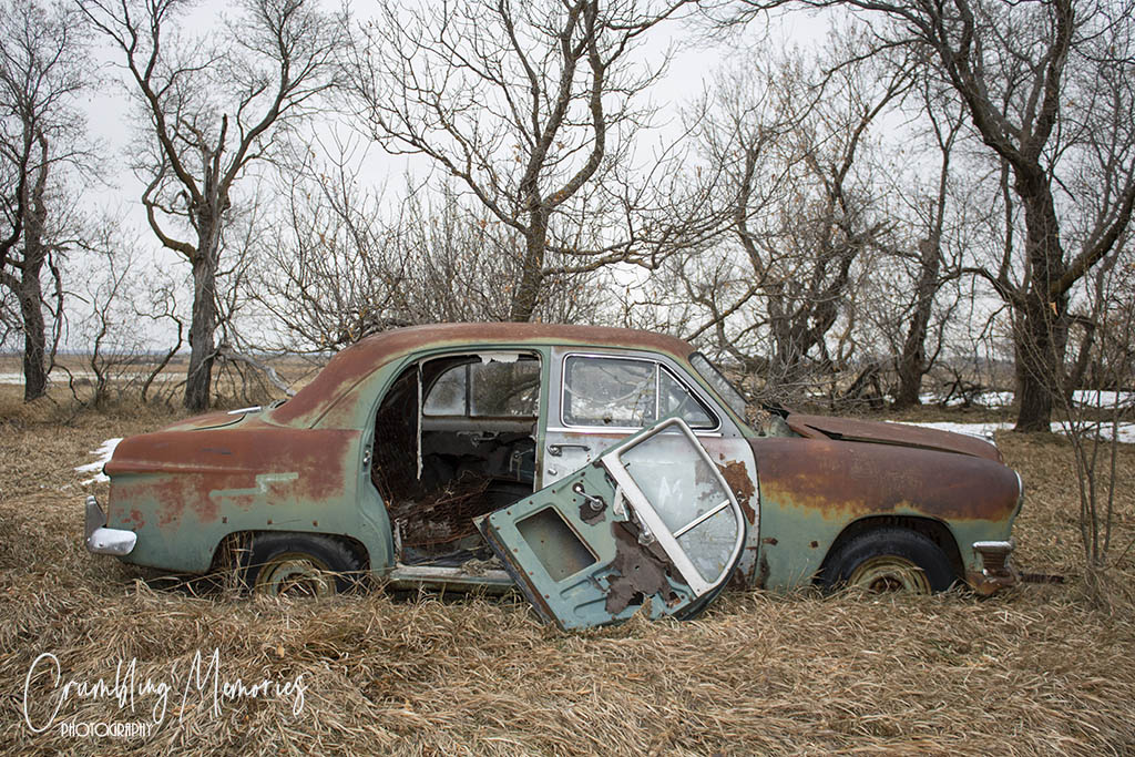 Hallgrimson Car 3 email.jpg