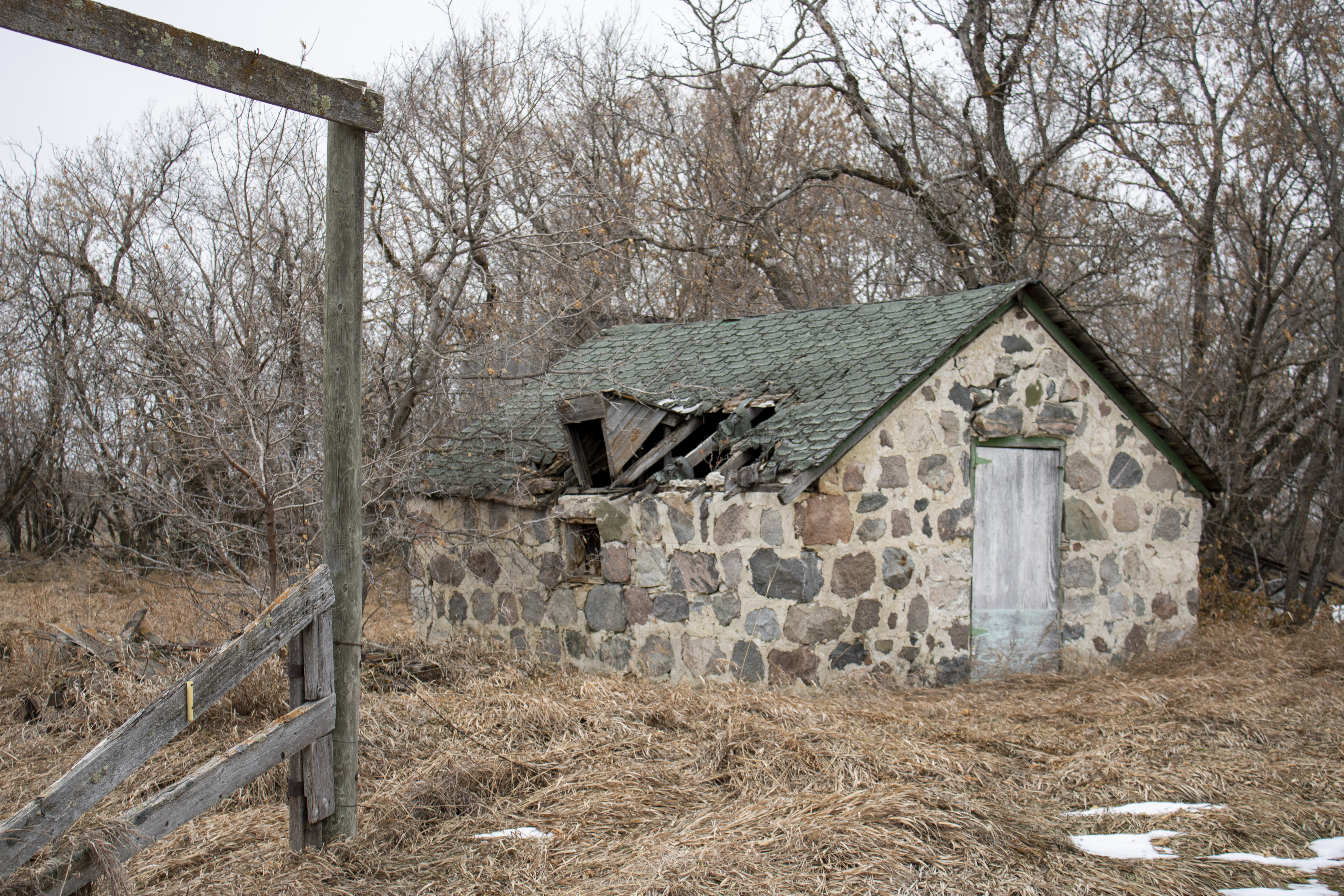 Hallgrimson House 2.JPG