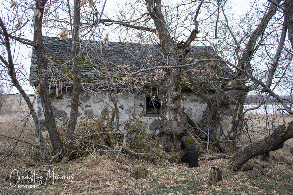 Hallgrimson House 3 email.jpg