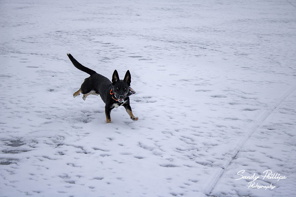 takoda running 2 email.jpg