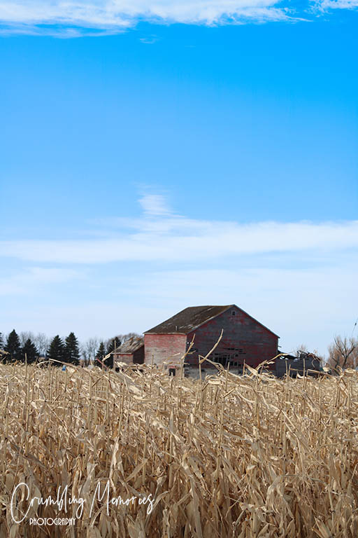 Graham barn 2 for email