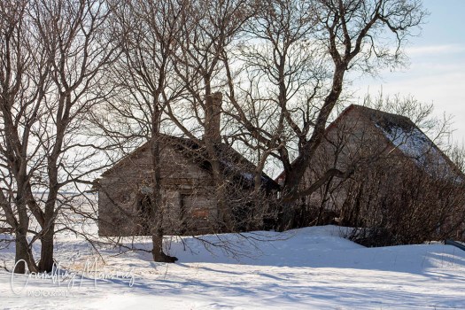 barn & shed for email