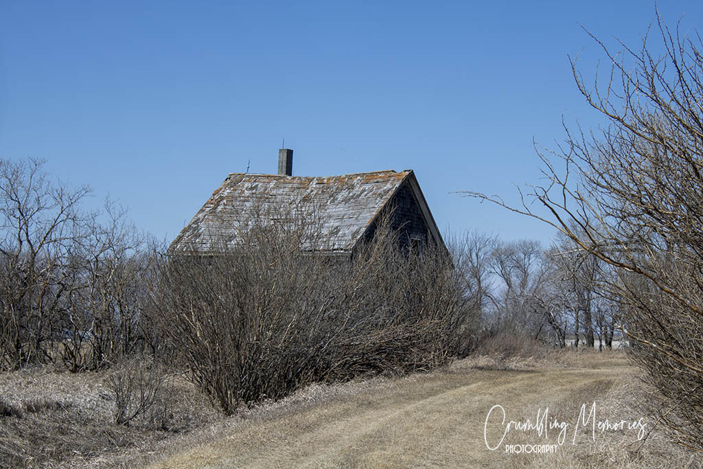 baskier house laneway email