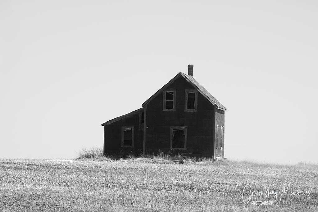 house black &amp; white email