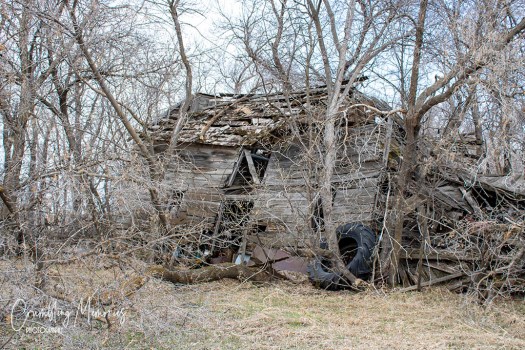 waitt darling 10 email