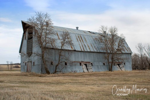 waitt darling 11 email