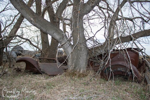 williamson 6666 email