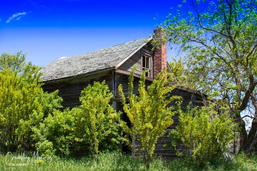 brogden house 3 email