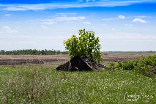 brogden house 6 email