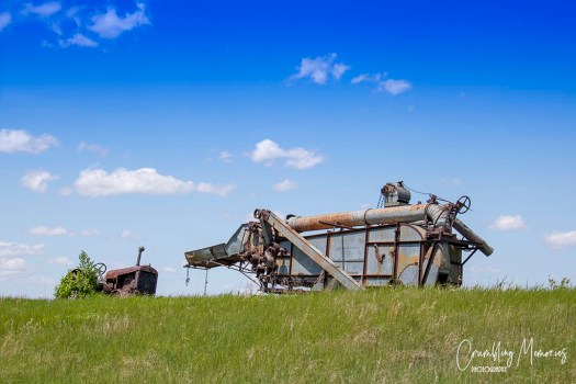 brogden house 9 email