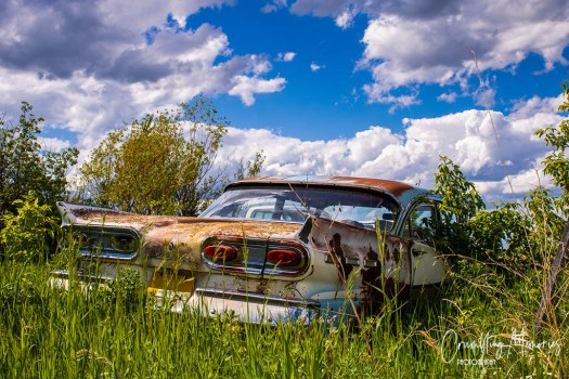 Car from behind_1-2 for email